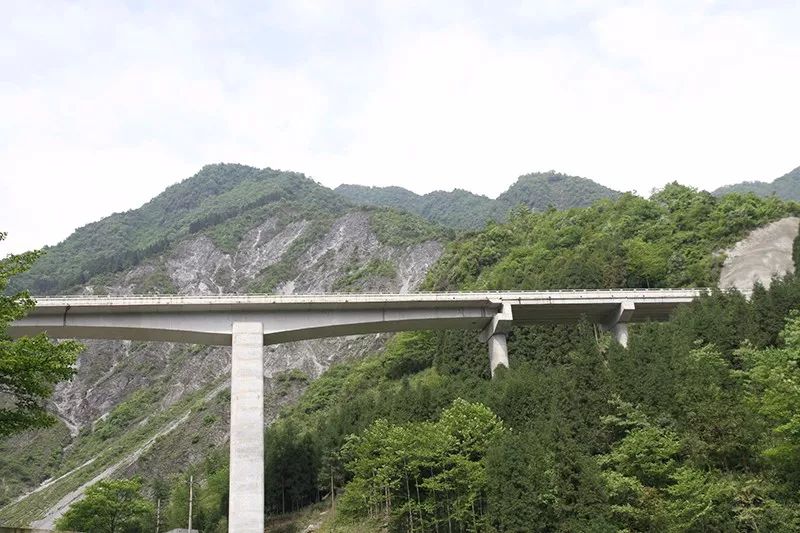 兴隆马业杯篮球赛冠军_兴隆马业杯篮球赛冠军_兴隆马业杯篮球赛冠军
