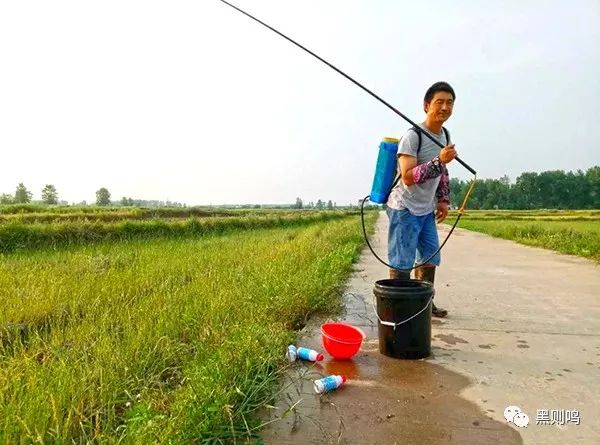 游泳谁创造的_游泳冠军预备役是谁发明的_第一个游泳冠军