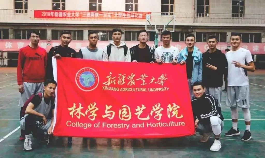 烟台大学男篮_烟台大学学生篮球赛冠军_烟台大学篮球比赛