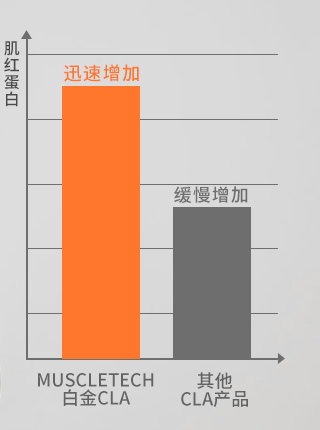 健身房隔断造型_健身房私教区隔断_健身房私教隔断