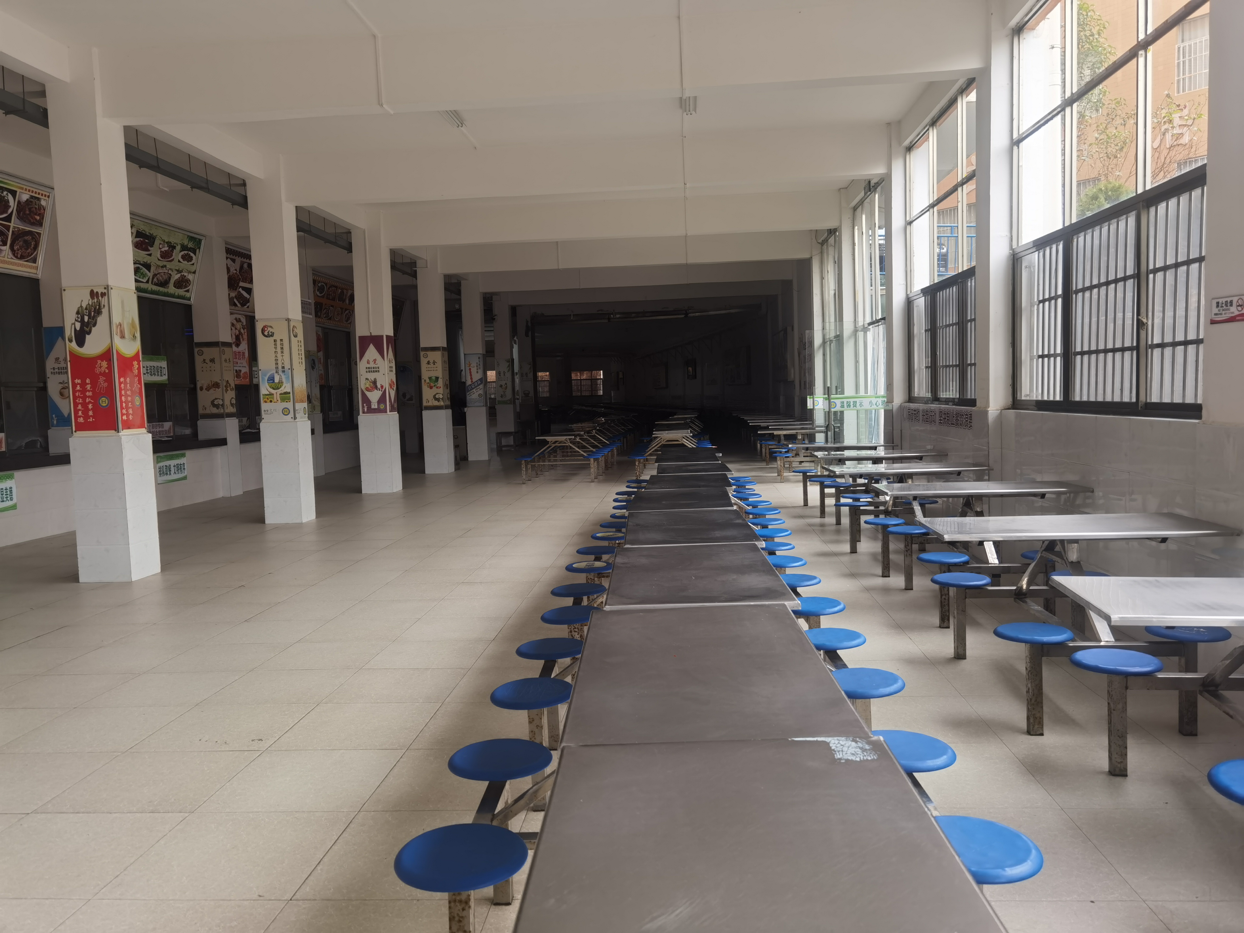 鸡蛋营养教育_营养餐鸡蛋配送方案_学校营养餐鸡蛋