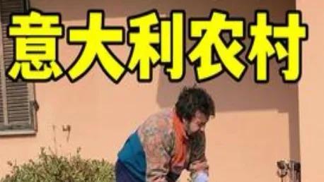 中意家庭欢乐日常婚姻篇_欢乐婚姻歌曲_欢乐婚姻歌词186