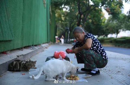 武汉籍游泳女运动员_武汉女性游泳冠军名单_游泳名单武汉冠军女性排名